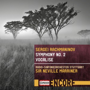 Symphony No. 2 in E Minor, Op. 27 - II. Allegro molto