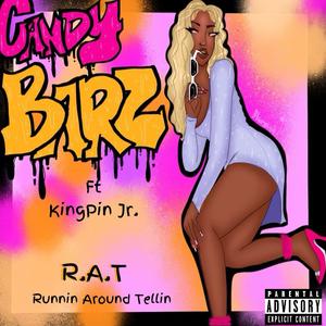 R.A.T (feat. Kingpinjr) (Explicit)