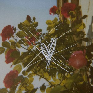 Wenn ich liebe (Explicit)