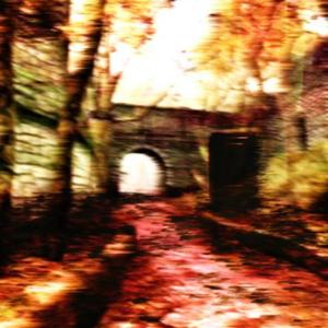 All Night (Explicit)