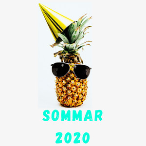 Varm Sommar 2020 (Explicit)