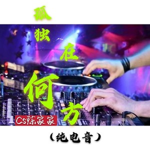 孤独在何方