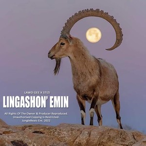 Lingashona emini (feat. Lawd Gee x Stizi)