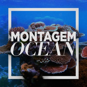 MONTAGEM OCEAN (Explicit)