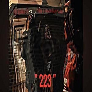 223 (Explicit)