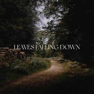 Leaves Falling Down