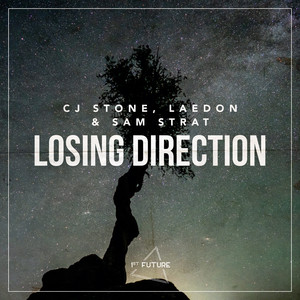 Losing Direction (Extended Mix)