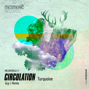 Turquoise (Guy J Remix)