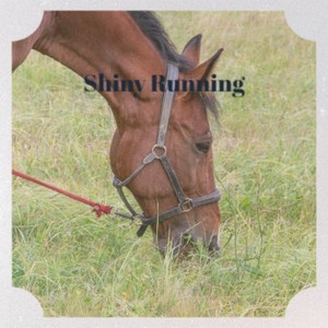 Happy Life Big Dreams