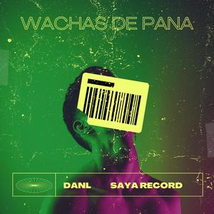 WACHAS DE PANA