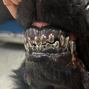 Wonderful Day (feat. K-1) (Explicit)