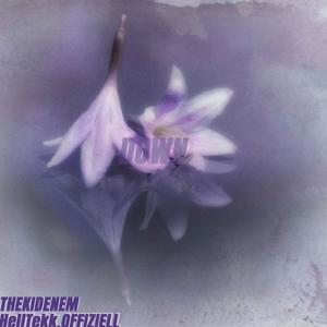 DOWN (feat. HellTekk.offiziell) (Explicit)