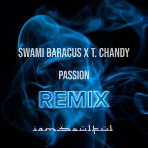 Passion (feat. Swami Baracus & T. Chandy) [Remix]