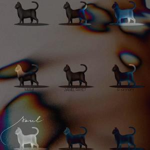 9 Souls (feat. Ninja249) [Explicit]