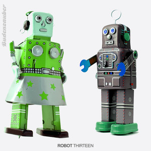 Robot - Thirteen