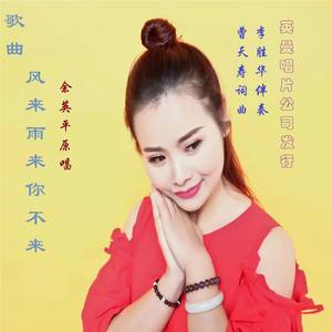 风来雨来你不来 (余英平混音版)