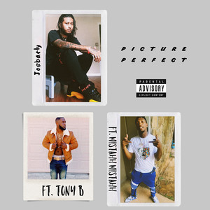 Picture Perfect (Explicit)