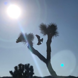 So Far Away (feat. Jinx)