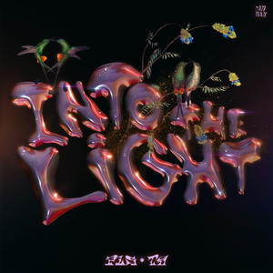 Into The Light (Extended Mix)