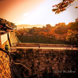 Joy From the Jailhouse