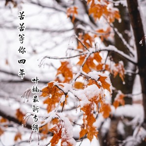 苦苦等你四年