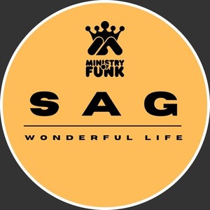 Wonderful Life (Amapiano Chill Mix)
