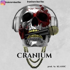 Cranium