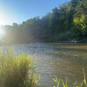 Blood on The Leaves (feat. Zotron & Stxr) (Explicit)