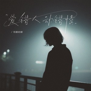 爱错人动错情封面