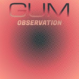 Gum Observation