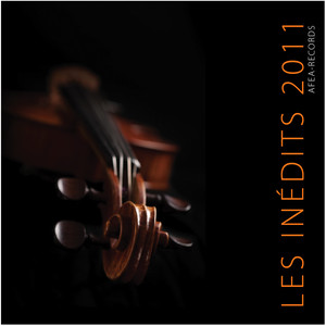 Concertino Endommageur