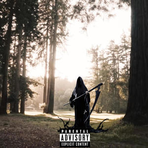 8 (Explicit)