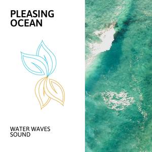 Pleasing Ocean - Water Waves Sound