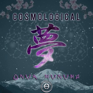 Cosmological