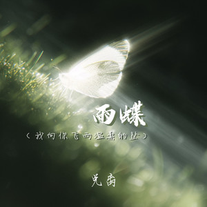 雨蝶(我向你飞雨温柔的坠)