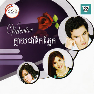 SSB Vol. 22 (Valentine ក្លាយជាទឹកភ្នែក)