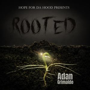 Rooted