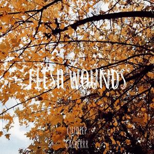 flesh wounds(feat. casperrr) (Explicit)