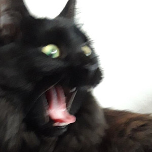 Not funny (Explicit)