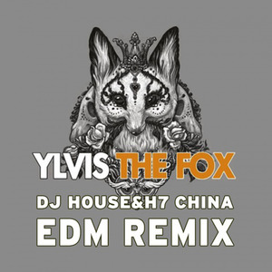 The Fox (EDM Remix DJ House&H7 Remix)