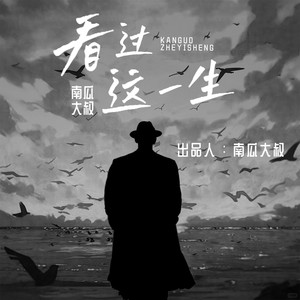 看过这一生 (伴奏)