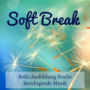 Soft Break - Reiki Ausbildung Studie Beruhigende Musik für Prana Energie Biofeedback Therapie Geisteszustand mit Natur Instrumental New Age Geräusche