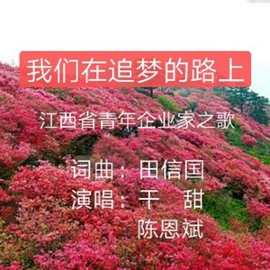 我们在追梦的路上（现场版）