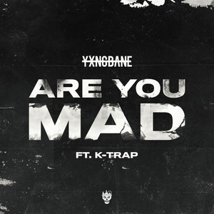 Are You Mad (feat. K-Trap) [Explicit]