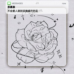 不会爱人就别采摘盛开的花