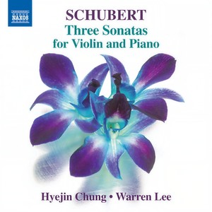 Violin Sonata (Sonatina) in A Minor, Op. 137, No. 2, D. 385 - IV. Allegro