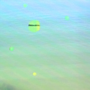 Johnny Swunk - Analog Forest