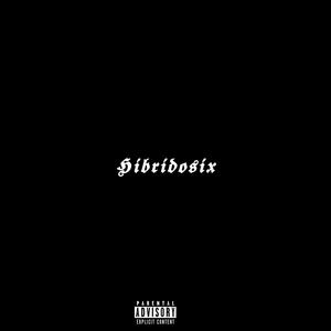 Hibridosix (feat. CheloBeats) (Explicit)