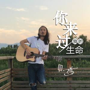 你来过我的生命 (原创混音版)