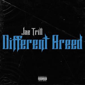 Different Breed (Explicit)